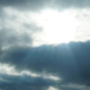 Meet your Posher, Sunny